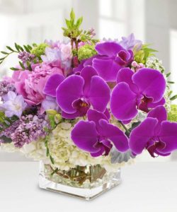 pink peony with dark purple orchid in vase