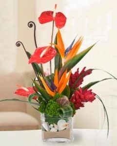A Stylish Design Of Birds of Paradise, Anthurium and Ginger Designed in Cubed Vase Filled With Sand And Sea Shells