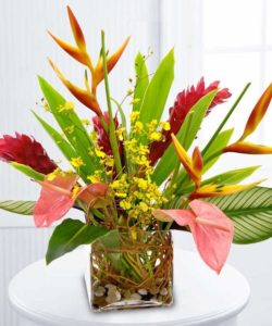 Take a moment to enjoy paradise with this arrangement of vibrant birds of paradise, ginger, orchids, anthurium and tropical greenery