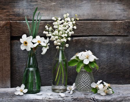 White flowers in green bud vases
