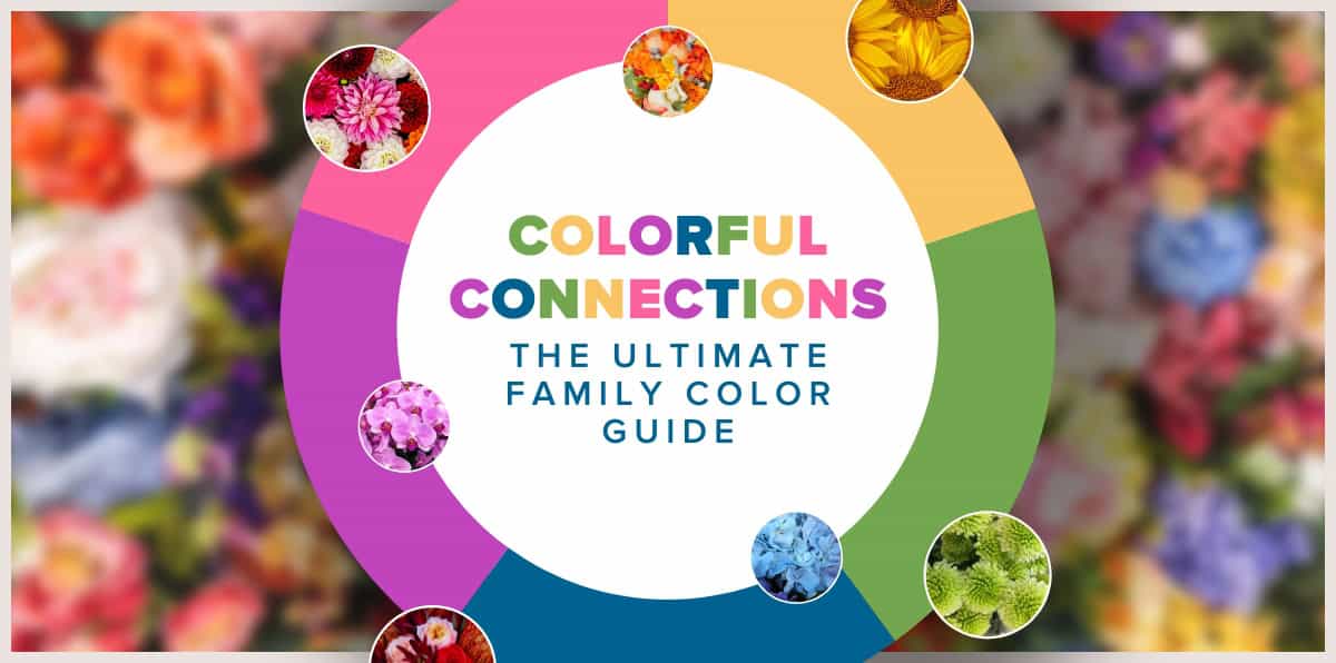 Love in Color: The Ultimate Flower Color Guide for Family - Boslands ...